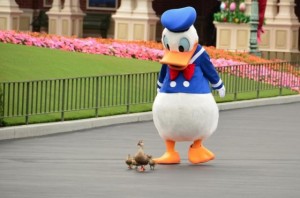 donald