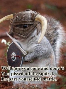 squirrel knight