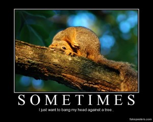 Squirrel Tree