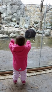 Shewhogrowlsatbears